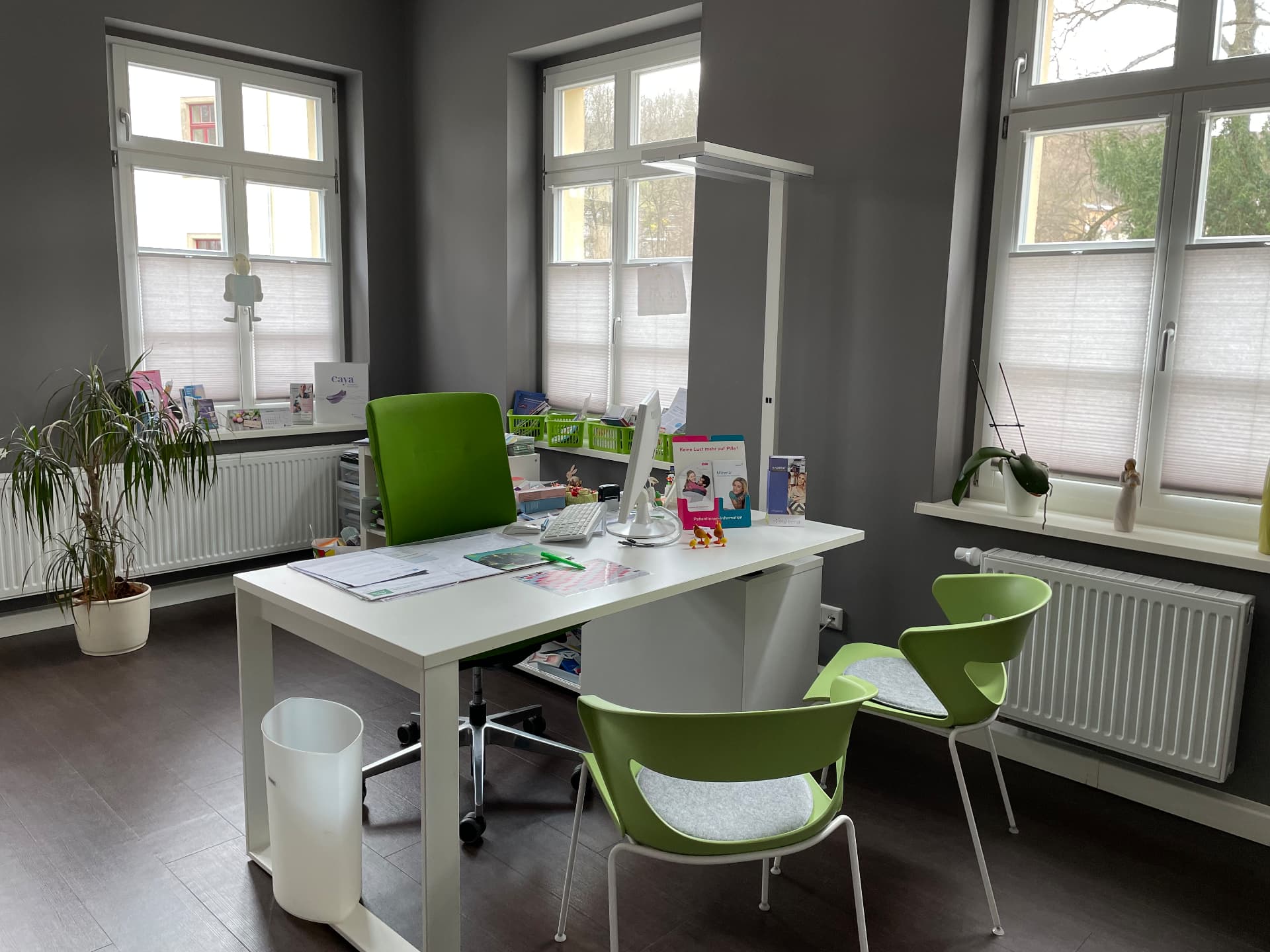 Sprechzimmer mit Schreibtisch und Blick zum Fenster